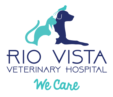 Rio Vista Veterinary Hospital